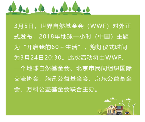春季清新环保活动地球一小时图文
