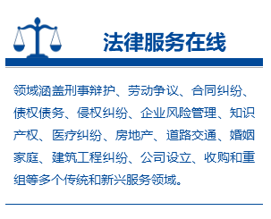 政务法律边框标题正文组合