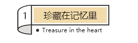 简约个性卷纸边框主副标题