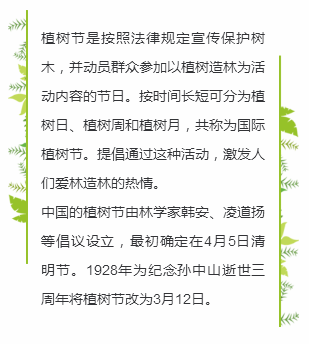 植树节左右简约边框正文