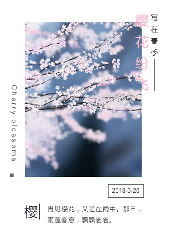 春季浪漫樱花简约清新图文布局