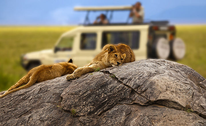 5-Tips-on-Tanzania-Safaris.jpg