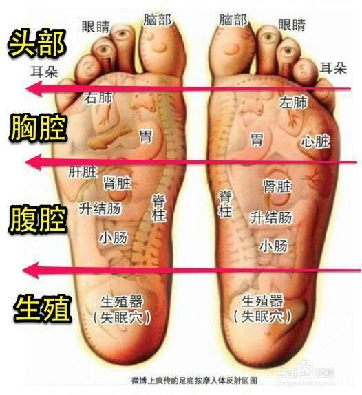 鑫愿足贴通过脚底穴位,排毒排湿气寒气,成分非常天然:核心中药粉、天然竹醋精华 粉、天然矿物微粉、薰衣草、枇杷叶、微量元素、维他命C、维他命E、桔精油等。 足贴中最主要的成分是竹酢粉,竹酢粉是一种从竹子里提取的叫做竹油的近油状液体中 精炼出来的。正因为竹油具有近油的性质,足贴吸油脂排毒是根据相似相容的原理,在人体 毛细血管和淋巴密集的部位,吸出血液中的油脂离子! 鑫愿这小小的足贴竟有这么大的妙用,很多人一定想不到吧。唯有健康与爱不可 辜负,健康是现在人所追求的第一幸福,足贴适合现在的很多人使用,无论是老