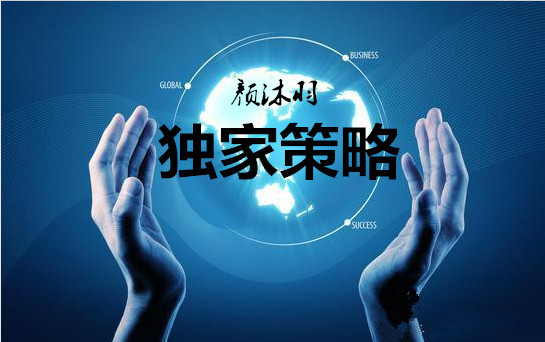 独家策略_副本_副本.jpg