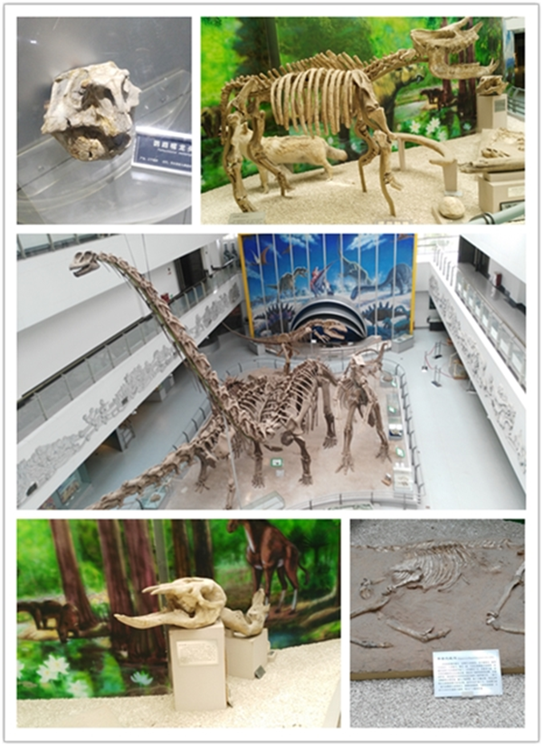 图片1_副本.png