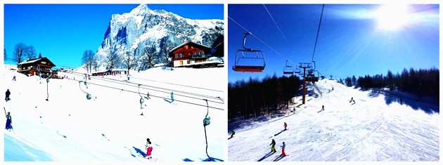 滑雪场地 MT副本_副本.jpg