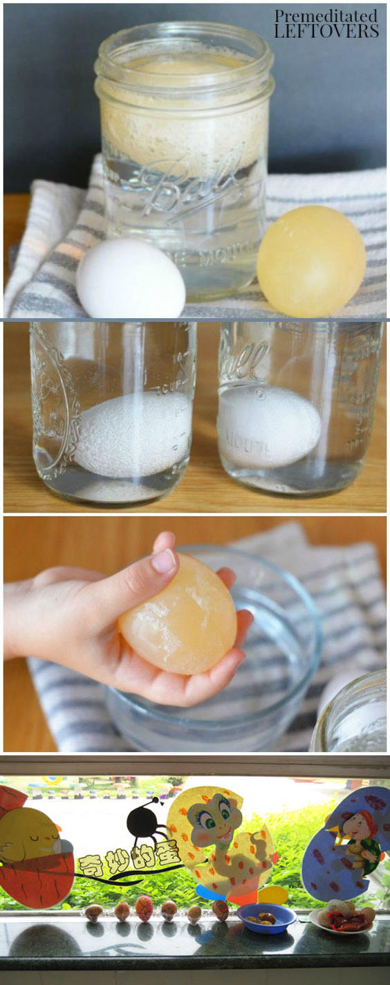 探索区 2.JPG