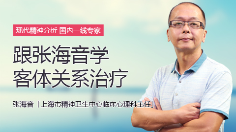 张海音客体关系.jpg