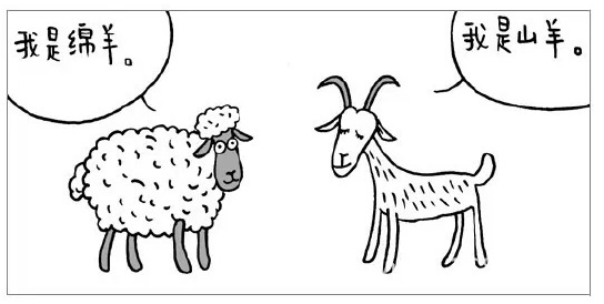 羊絨與羊毛的區別—圖1