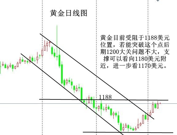 黄金.jpg