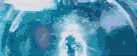 640.gif