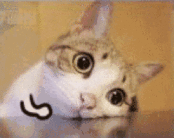 timg (5).gif