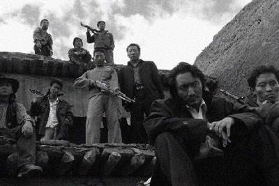 藏羚羊的危机--可可西里观后感_中原电商学院