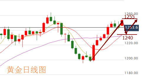 黄金.jpg
