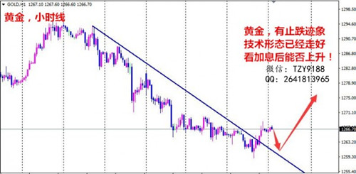 6.14 黄金小时图.jpg