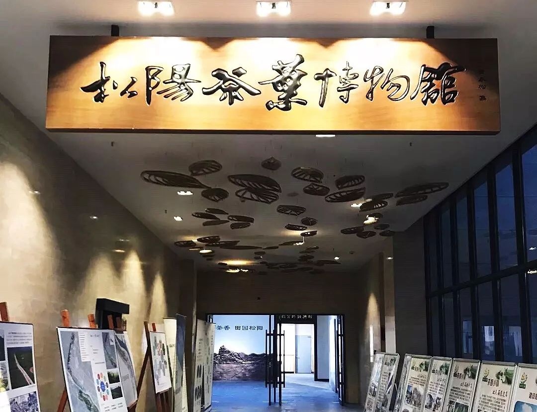 松阳茶叶博物馆
