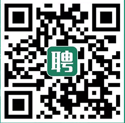 网申.png