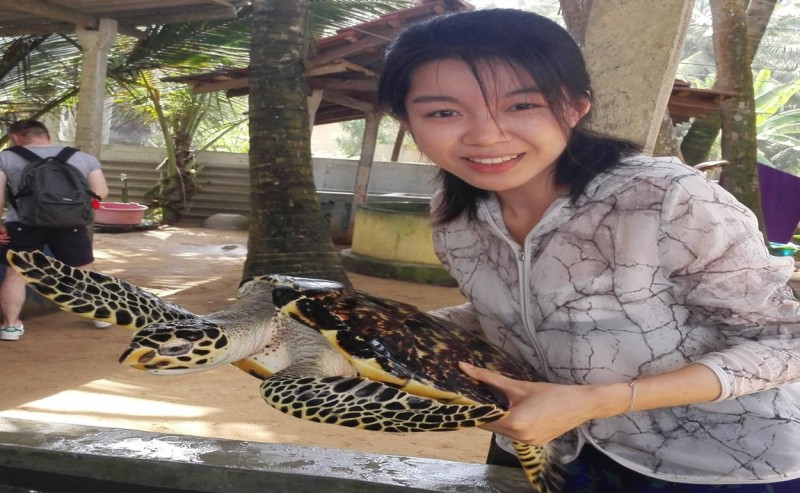 这是珍稀物种,玳瑁海龟,嘴是鹰嘴,据说会咬人~.jpg 这是珍稀物种,玳瑁海龟,嘴是鹰嘴,据说会咬人~.jpg