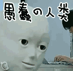 19.gif