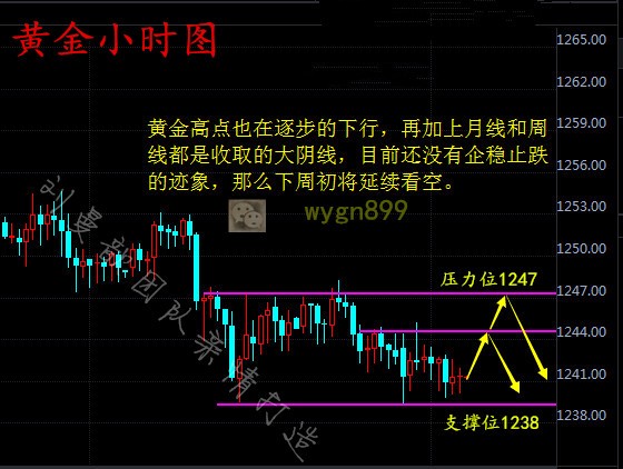 W020170701324954129417_副本.jpg