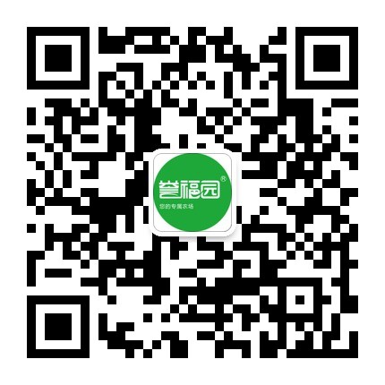 公众号.jpg