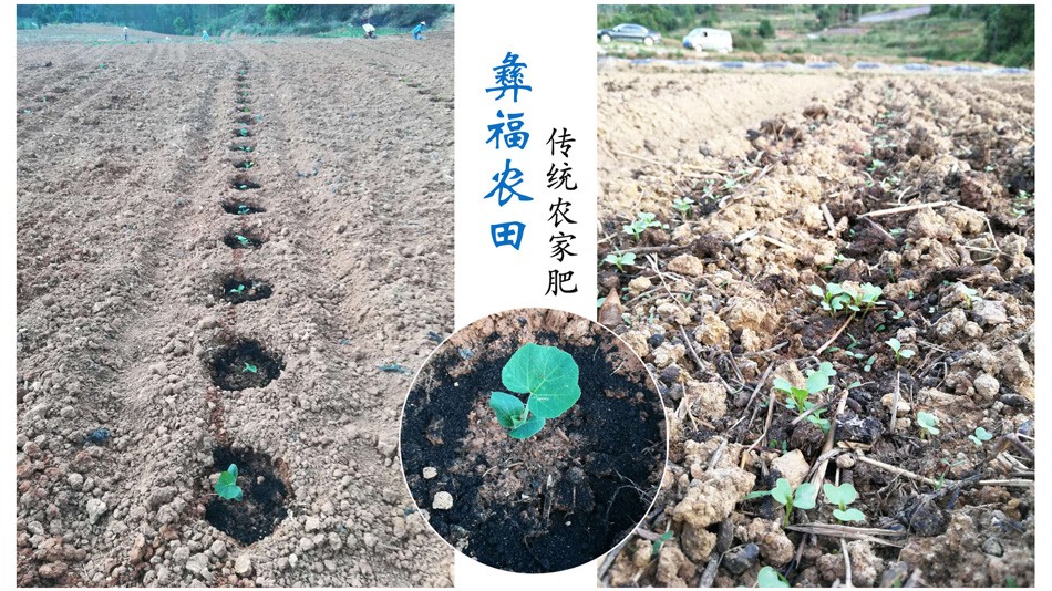 2农家肥950.jpg