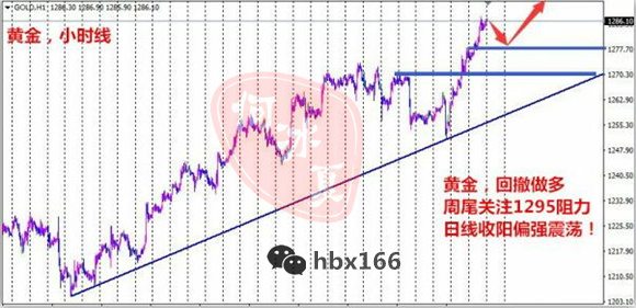 8.11 行情图_副本.jpg