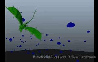 田文广05-飞行生物.gif