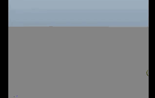王洪明01-四足生物.gif