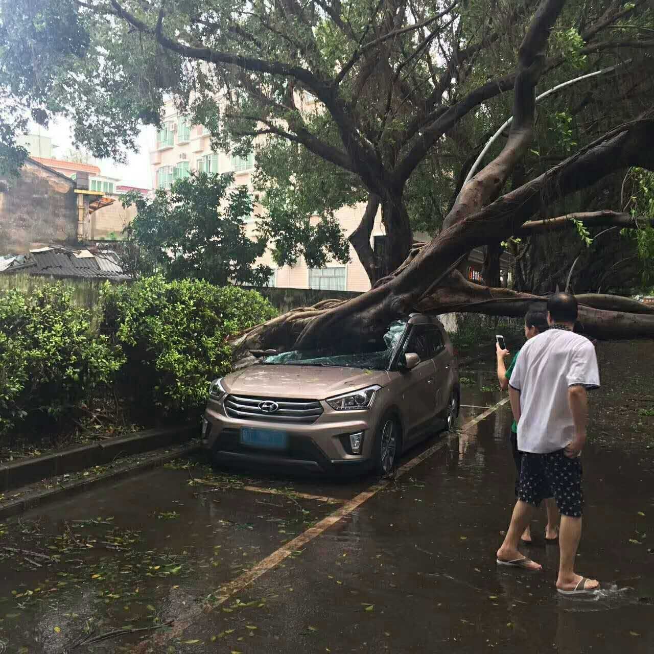 微信图片_20170825101622.jpg