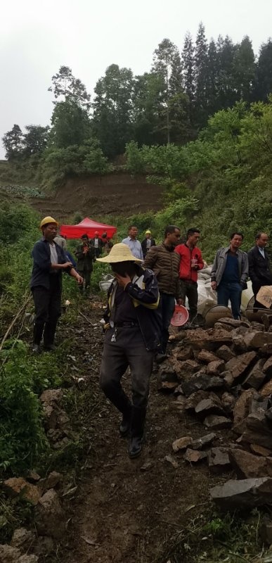 微信图片_20190505191844.jpg