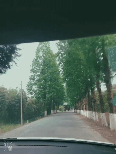 normal video[00_00_01--00_00_03].gif