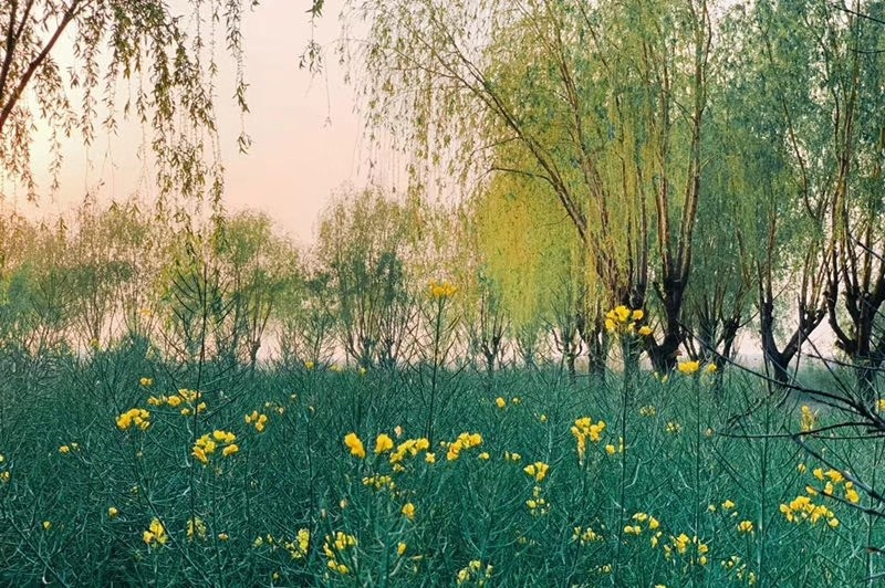 微信图片_20190415145131.jpg 微信图片_20190415145131.jpg