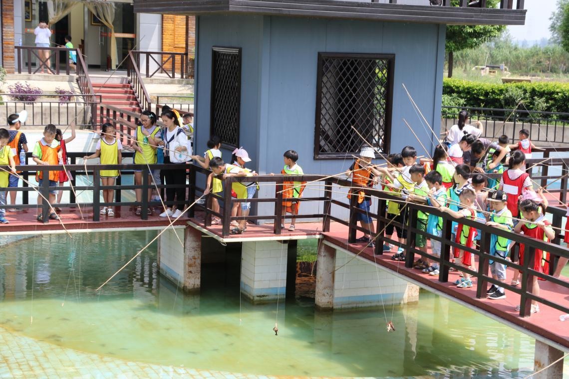 p3.jpg