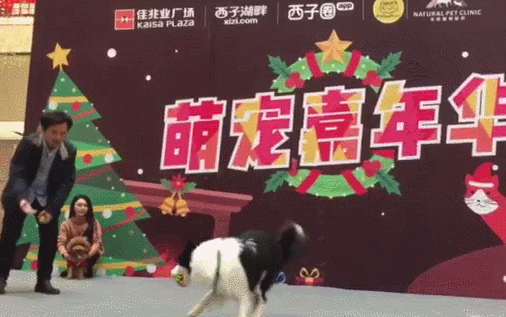 20.gif
