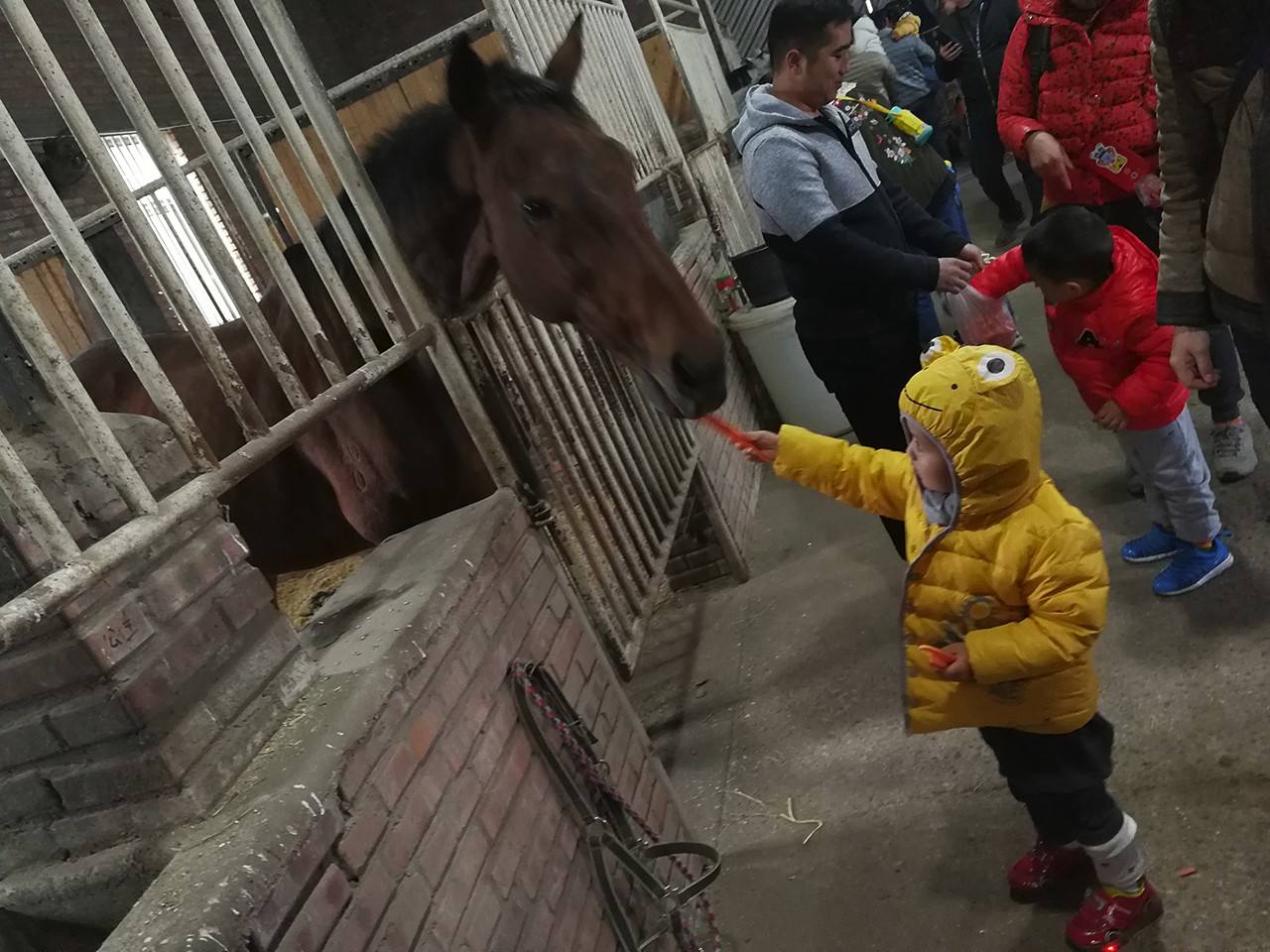NYC纽约国际儿童俱乐部北京丰台丰科早教中心