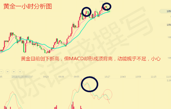 陈语盛.png