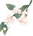 ΢ͼƬ_20180408104456.png