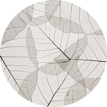 grey.gif