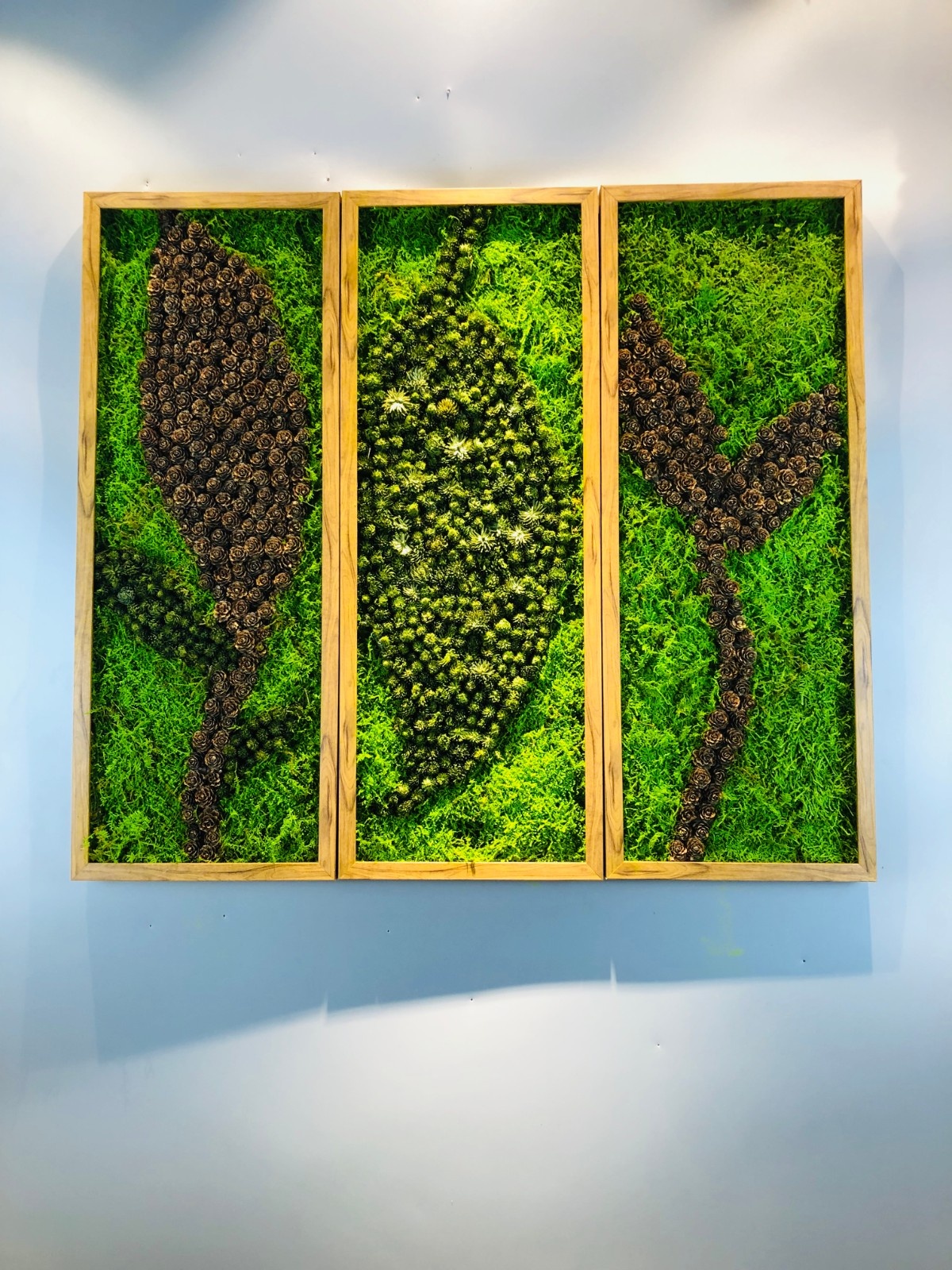 用自家永生苔藓制作的苔藓艺术画,有许多尺寸,样式,欢迎定制.