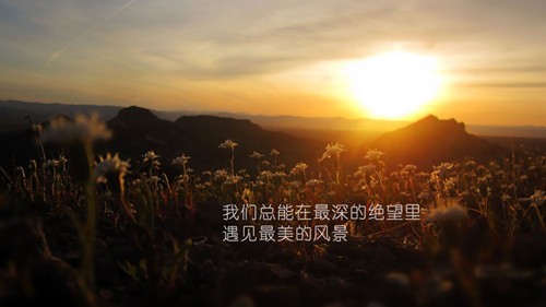44_副本.jpg