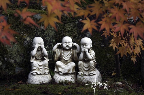 88fcc12d9fd0de6fe11a03f490921f7b_副本.jpg