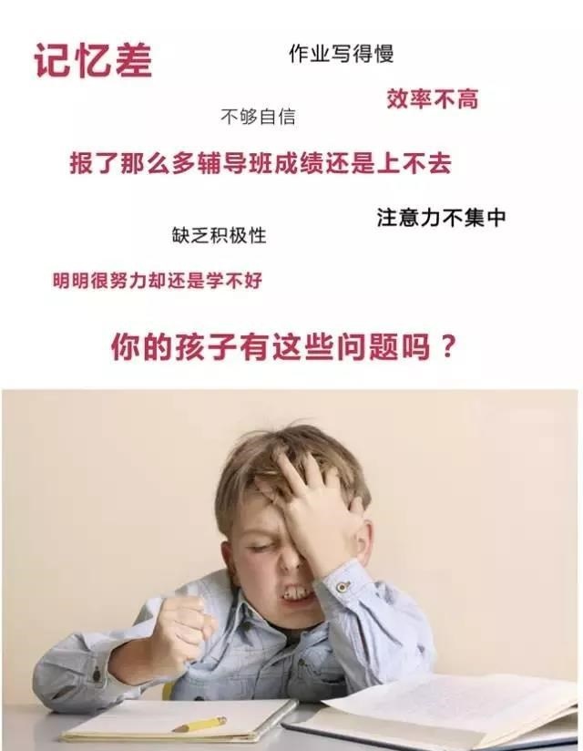 用右脑没烦恼！全脑开发全球发展的趋势!