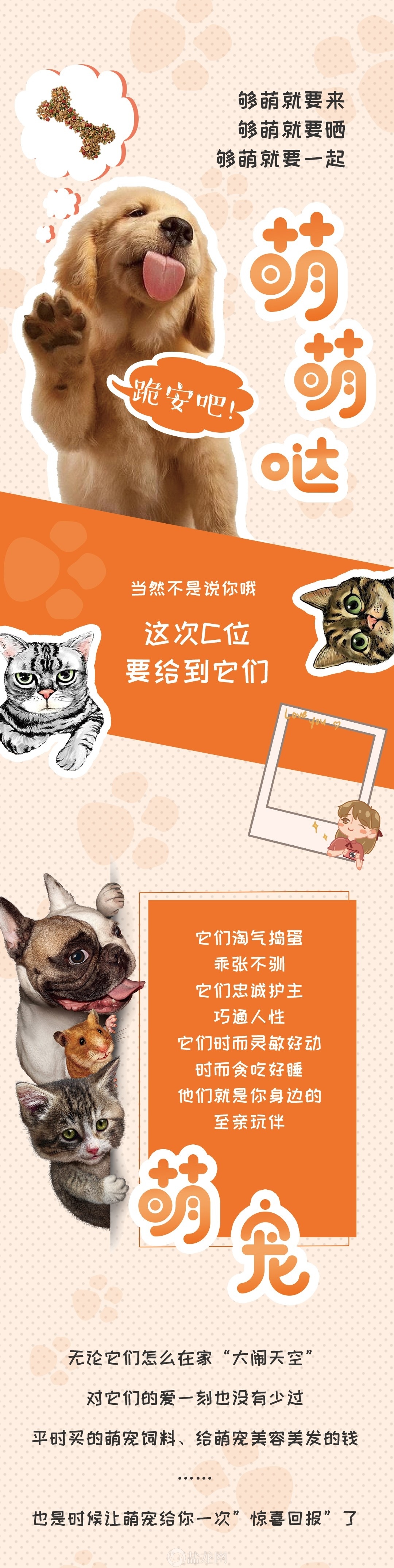微信图片_20190611181240.jpg