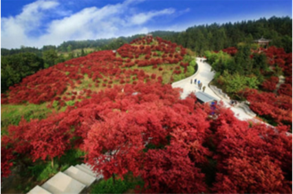 QQ截图20190419111136.png QQ截图20190419111136.png