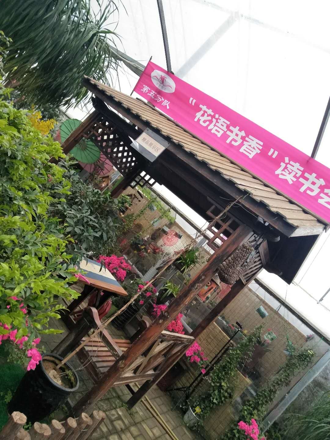 undefined 青島花卉