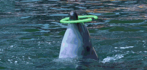 微信图片_20190712113143.gif