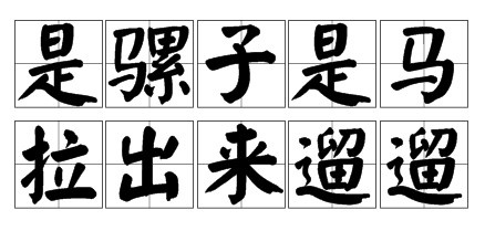 是骡子是马_副本.jpg