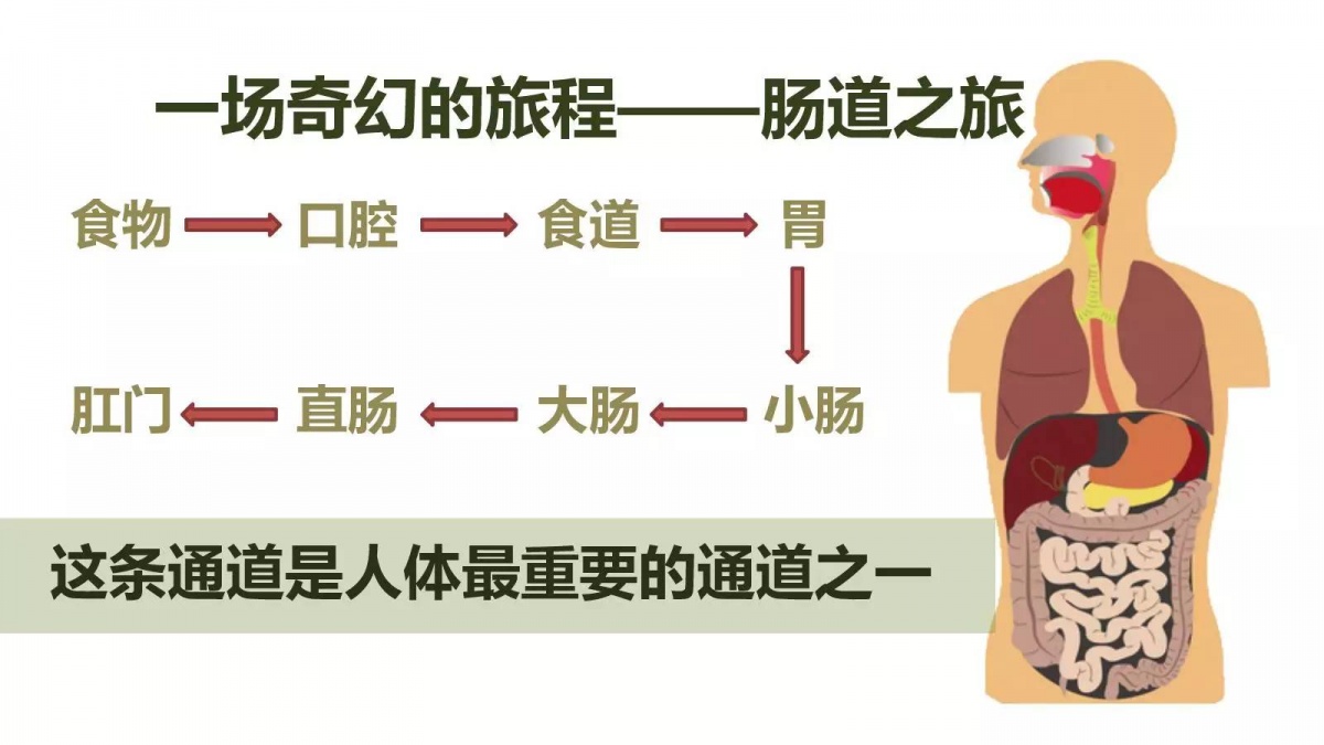 微信图片_20190519201856.jpg