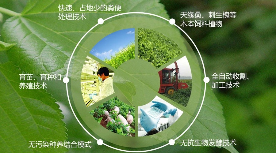 产业链.jpg 产业链.jpg